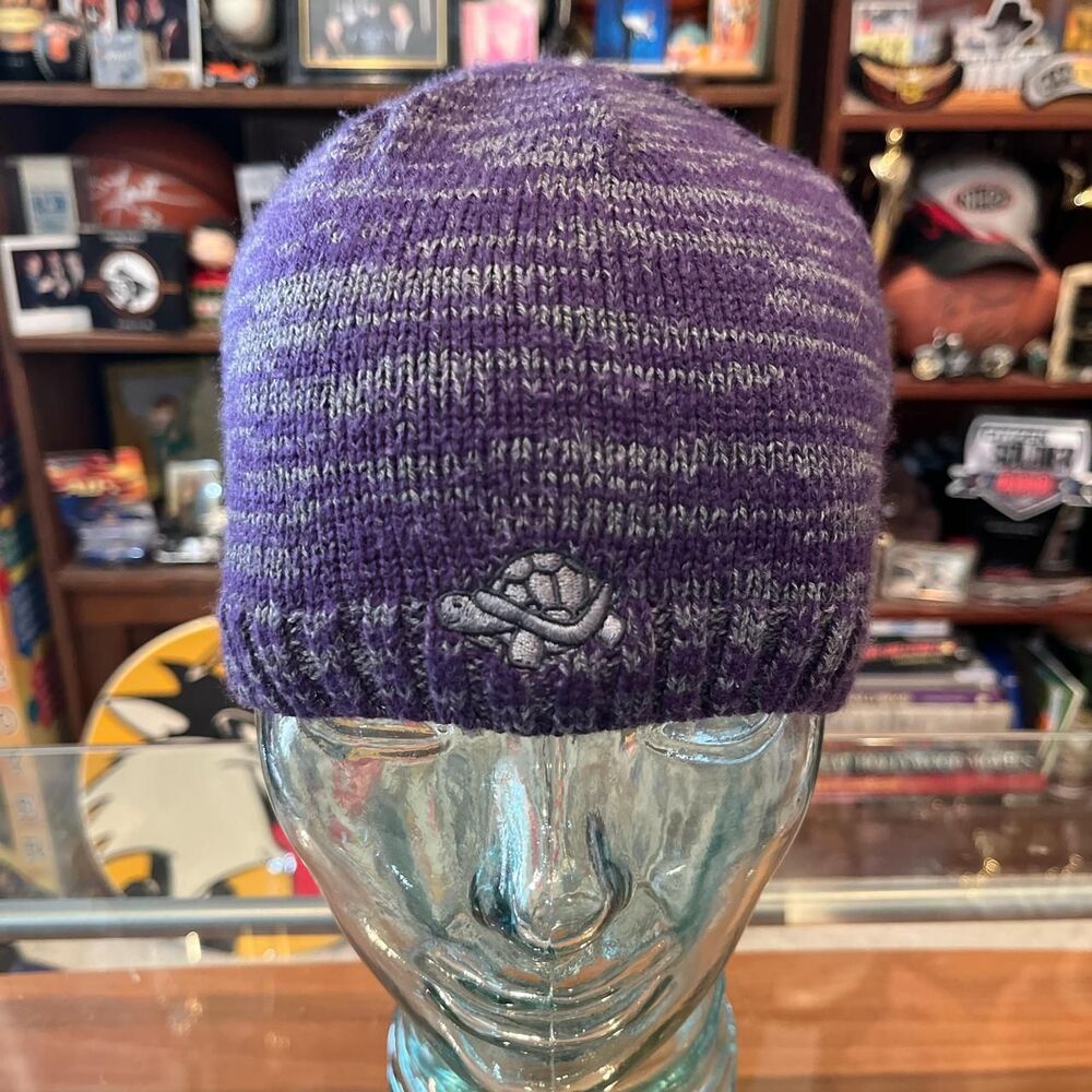 Hanes Men's Purple Hat